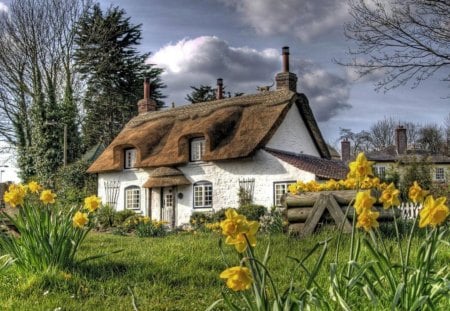 cottage in spring - house, spring, daffodils, cottage