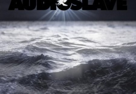 Out of Exile - sea, eagle, out of exile, audioslave