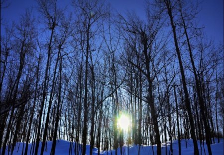 snowy - snowy, sunrise