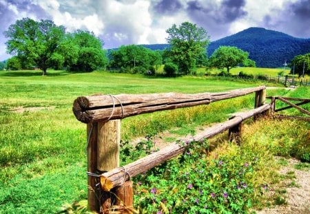 Vivid Color Fence - colors, fence, vivid