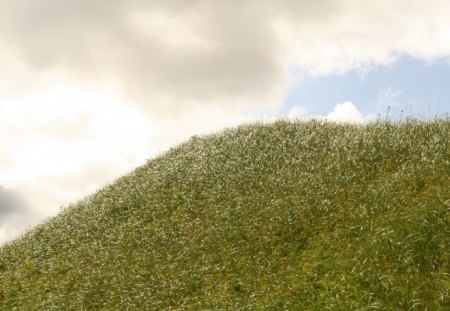 Height Before Heaven  - hill, dunes, grass, shiny