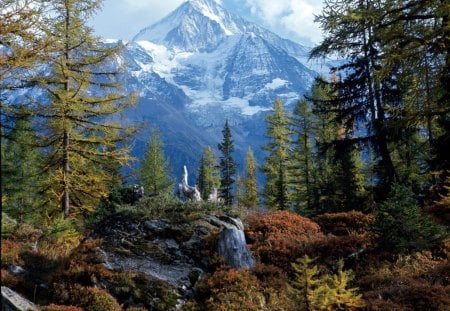 bietschhorn valais switzerland - nature, landscape