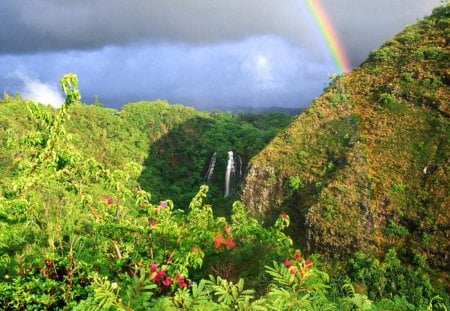 Forest and rainbow - rainbows, forests