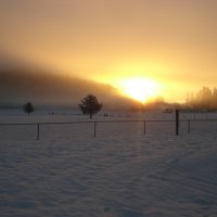 Winter Dawn