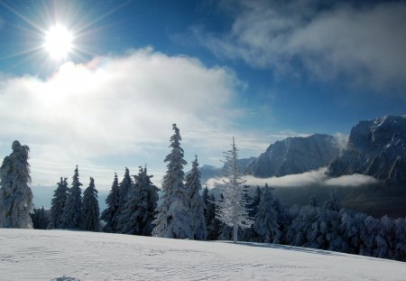 Romania - Bucegi Mountains winter - romania, bucegi mountains winter