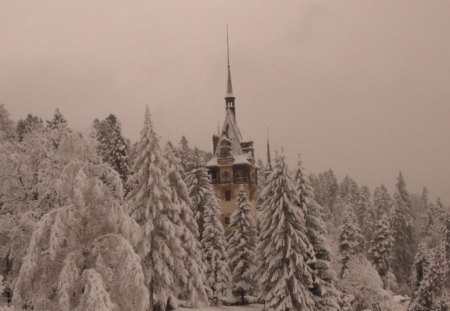 Romania-Peles Castle winter - romania, peles castle winter