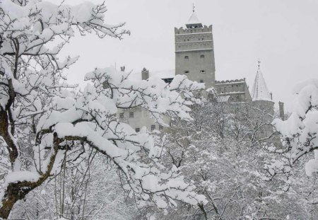 Romania-Dracula Castle winter - romania, dracula castle winter