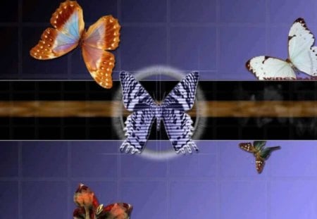 3D Butterflies - tiles, flower, butterflies