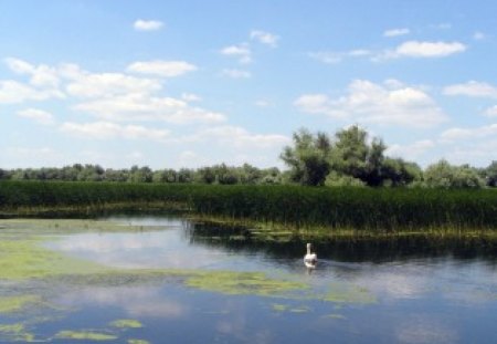 Romania-Danube Delta - danube delta, romania