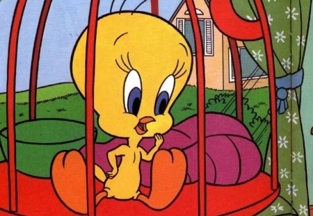 Tweety Caged