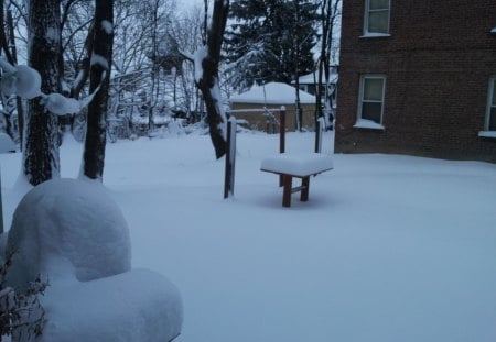 Nemo's wonderland - storm, snow, winter, nature