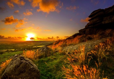 WONDERFUL EVENING - nature, field, sunset, landscape