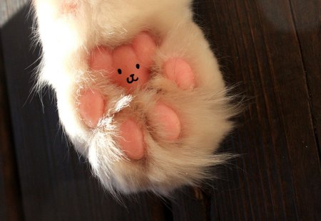 â¤ - love, paw, cat, pink, bear