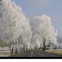 winter countryside