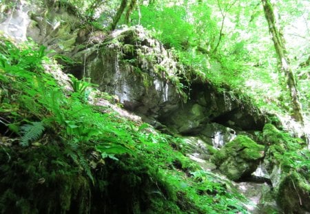 Annecy - France #12 - france, forest, alpes, mont-blanc, annecy, nature, mountain