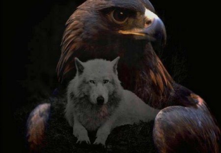 One World - Eagle, abstract, fantasy, wolf, animals