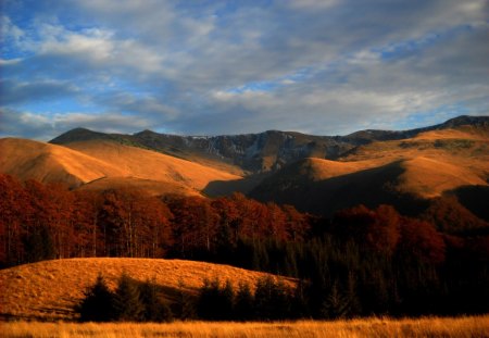 The Colors Of Autumn - forest, nature, mountain, autumn