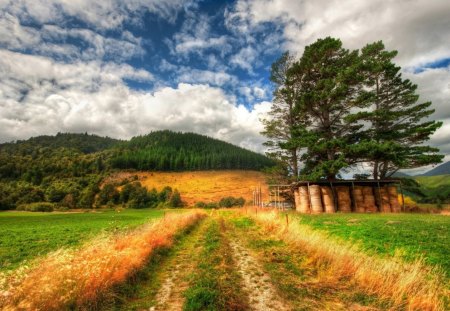 ~New Zealand Landscape~ - clouds, trees, hills, beautiful, road, landscape, grass, nature, view, New Zealand, sky