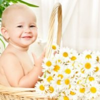 Baby and daisies