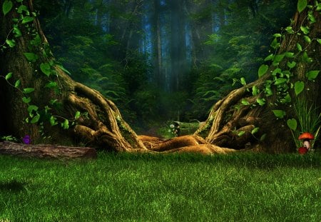 ...MAGICAL FOREST... - trees, creative pre-made, beautiful, grass, premade BG, colors, forests, nature, green, mushroom, love four seasons, woods