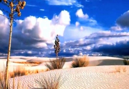 desert sky - sky, desert, sand, blue