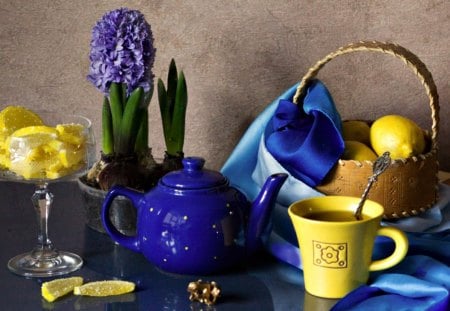 Still Life - vase, yellow, blue, photography, tea, teapot, still life, tea time, flowers, nature, hyacinth, cup, lemons