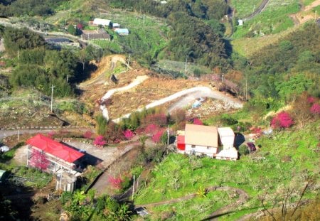 Overlooking - overlooking, mountain, scenery, house, bridge, cherry blossoms