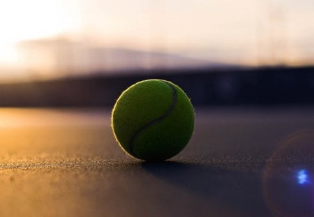 Tennis Ball - macro, tennis, ball, tennis ball, ground