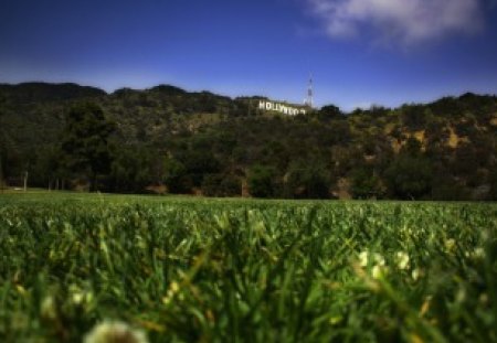 Hollywood...! - hollywood, green, place, grass