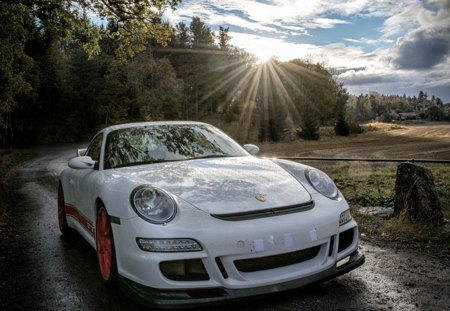 White Fall - white, porsche, car, sun