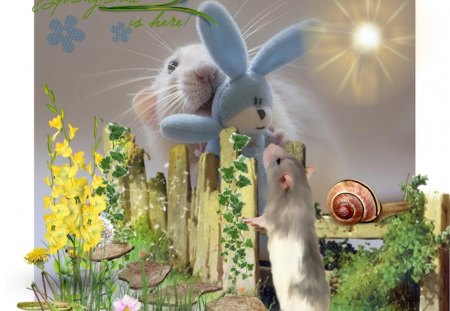 Springtime - green, mouse, bunny, spring, flower