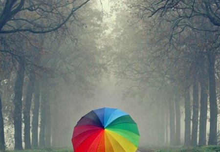 colorfully - pretty, flowers, photography, colorfully, umbrella