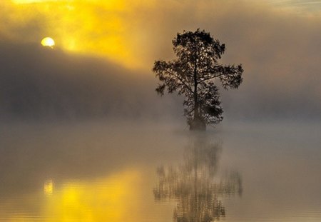 Sunset ~ Woodyardville ~ Arkansas - lake, beauty, tree, sunset, nature