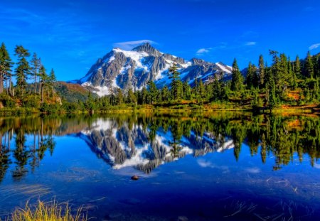 MOUNTAIN LAKE - lake, reflection, trees, mountain, snow