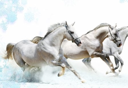 Horse Art - fast, running, horses, art, wallpaper