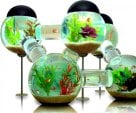 Fish tank