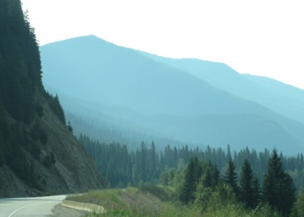 The Rockies mountains in BC - Canada 52 - mountains, roads, photography, trees, green