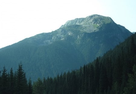 The Rockies mountains in BC - Canada 57 - Mountains, trees, green, photography, summits