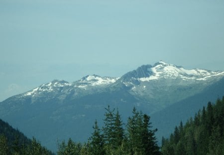 The Rockies mountains in BC - Canada 69 - white, sky, mountains, trees, summits, snow, green