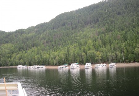 The Rockies mountains in BC - Canada 90 - trees, white, houseboats, Lakes, Muntains, greeen, green, photography