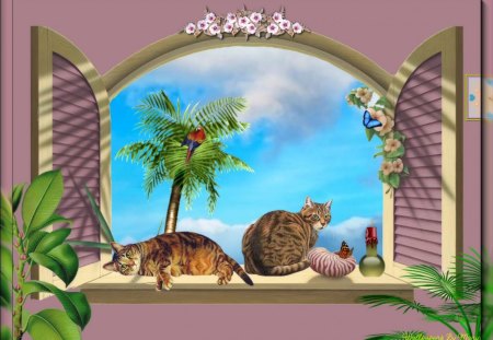 Looking Out My Window 1600x1200 - tropical, cats, tropics, cat, windows