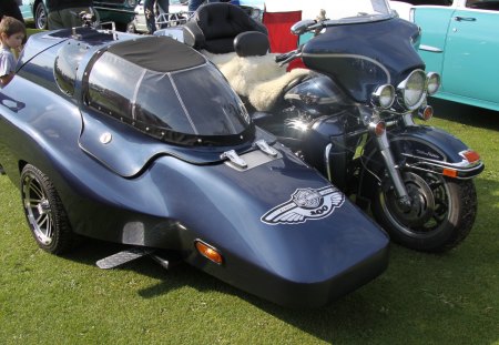 Harley Davidson at the car show BC - Harley Davidson, tires, headlights, blue, photography, grass, black, white, green