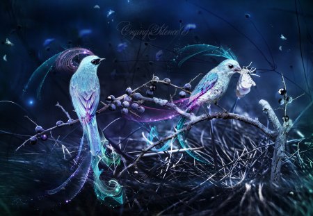 ...ADORABLE OF BIRDS... - branches, blackthorn, animals, lovely, nature, love four seasons, eat, insects, pretty, beautiful, digital art, cute, birds