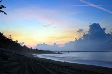 evening on a black sand beach - clouds, palms, beach, evening, black sand