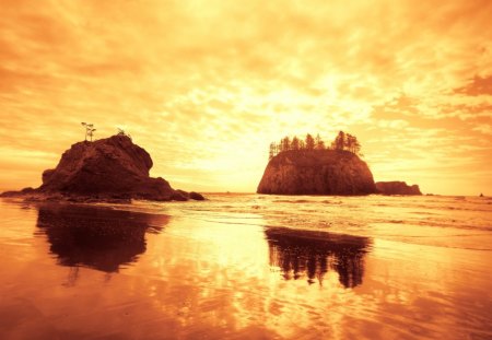 spectacular sunset on a wonderful shore - islands, trees, sunset, yellow, beach, rock, sea