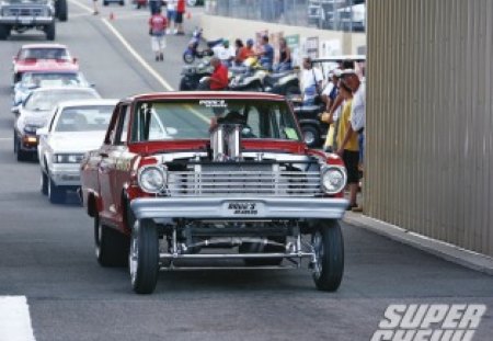 Gasser - bowtie, classic, gm, show