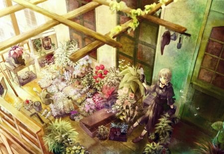 My Lovely Garden - flowers, anime, garden, girl, plants, greenhouse