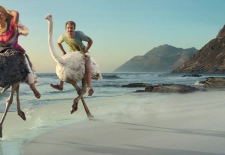 *** Riding the ostriches ... AWESOME!! *** - male, people, female, ostriches, model