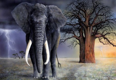 Magnificant - tusks, storm, giant, africa, tree, elephant