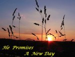 God Promises